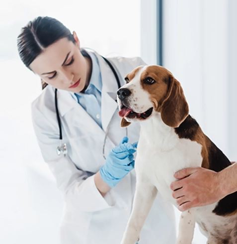 Bayrampaşa Veteriner