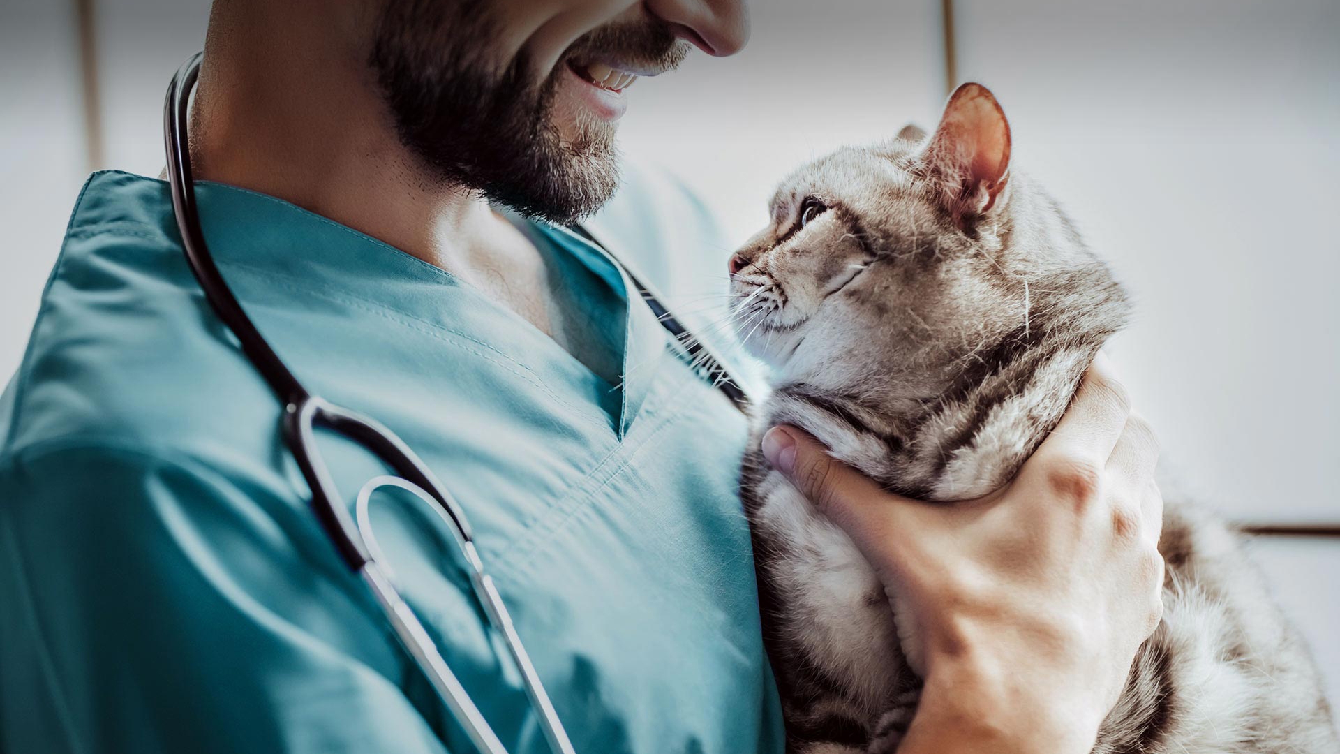 Bayrampaşa Veteriner